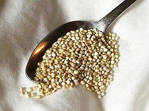 A spoonful of milled quinoa