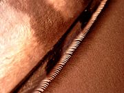 The serrations on the leading edge of an owl's flight feathers reduce noise.