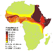 Steinem brought to light the prevalence of female genital cutting (FGC) in Africa. (Map indicates estimates)