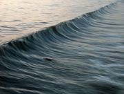 A wave just before breaking at Manhattan Beach, California.