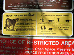Cougar warning message