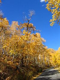 Alpine Loop near Sundance in the fall.
