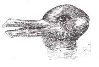 Kuhn used the duck-rabbit optical illusion to demonstrate the way in which a paradigm shift could cause one to see the same information in an entirely different way.