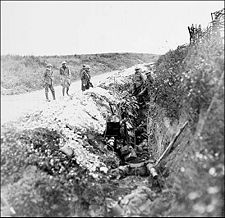Newfoundland soldiers in support trench, July 1 1916