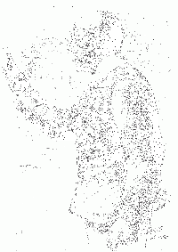 Gabriele D'Annunzio speaking