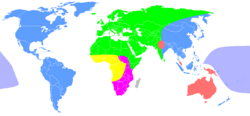 The racial classification scheme of Carleton S. Coon after the Pleistocene.