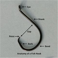 Anatomy of a Fish Hook