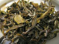 Darjeeling white tea