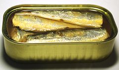 An open sardine can