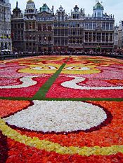 The Floral Carpet on the Grand Place in 2004