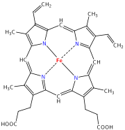 Structure of Heme b.