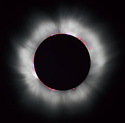 Totality during the 1999 solar eclipse. Solar prominences can be seen along the limb (in red) as well as extensive coronal filaments.