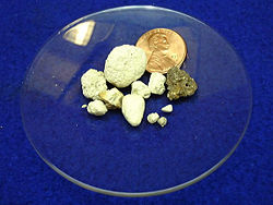 Some samples of phosphate rock, placed alongside a United States one-cent coin (for scale).
