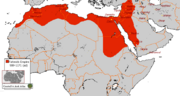 The Fatimid Empire at its peak, ruled by descendants of Ismail bin Jaffar. It was during this period that Ismaili Islam took shape, developing and propagating its doctrines.