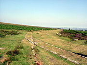 Trackwork including a point on the Haytor Granite Tramway.