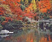 Autumn in Kyoto