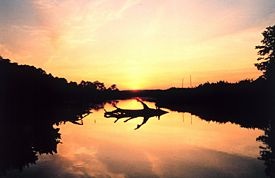 Sunset over a marsh at Cardinal Cove, on the Patuxent River.