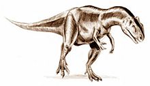 life restoration of Allosaurus fragilis.