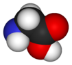 Space-filling model of the glycine molecule