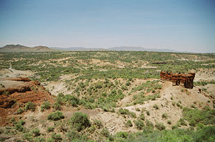 Olduvai Gorge, February 2006