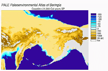 Animated map shows the dissipation of the Bering land bridge which once united Asia and the Americas.