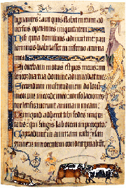 Page from a fourteenth-century Psalter, showing drolleries on the right margin and a plowman at the bottom