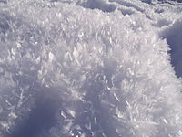 Hoar frost grows on the snow surface due to water vapor moving up through the snow on cold, clear nights.