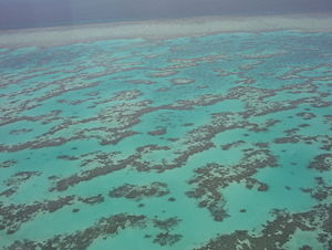 An aerial photograph of the Great Barrier Reef.