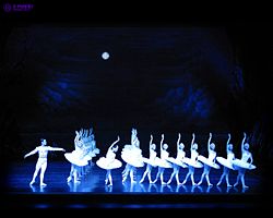 A recent production of Swan Lake, the most often performed of all Russian Ballets.