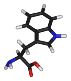 Chemical structure of Tryptophan