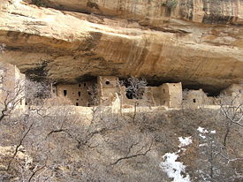 Long view of Spruce Tree House