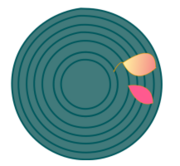 Two autumn leaves in a (forced) rotational vortex after a counterclockwise flow (from south to east).