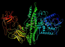 Botulinum toxin chemical structure