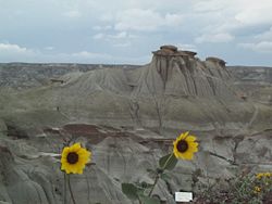 Hoodoos at Dinosaur Provincial Park