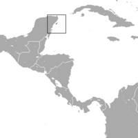 Cozumel Raccoon range