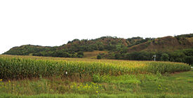 Loess Hills east of Mondamin.