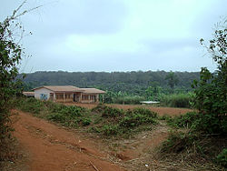 Primary school in Quartier Administratif, Abong-Mbang, East Province, Cameroon