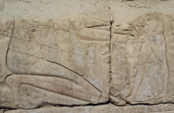 Ancient Egyptian carved scene of circumcision, from the inner northern wall of the Temple of Khonspekhrod at the Precinct of Mut, Luxor, Egypt. Eighteenth dynasty, Amenhotep III, c. 1360 B.C.E.