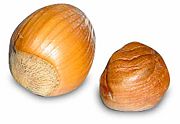 Hazelnuts, with shell (left), without shell (right).