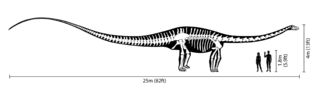 Comparative size of Diplodocus; human figures provide scale.