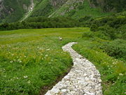 Picturesque landscape near Margaret Legge's memorial and grave site
