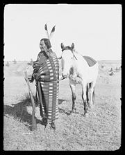 Crow Dog Horse of the Omahas.