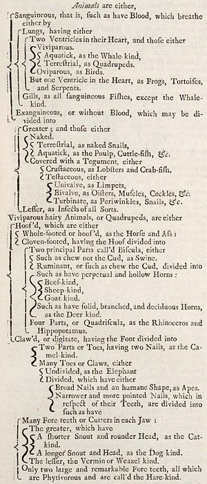 General scheme of animal categorization, from the Cyclopaedia, 1728.