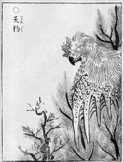 Tengu as a kite-like monster, from Toriyama Sekien's Gazu Hyakki Yakō