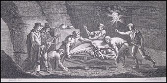 The Mosasaur discovered in a Maastricht limestone quarry, 1780 (contemporary engraving)