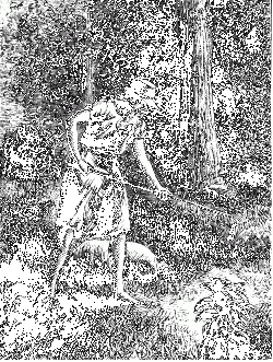 Johnny Appleseed in Harper’s Magazine, 1871
