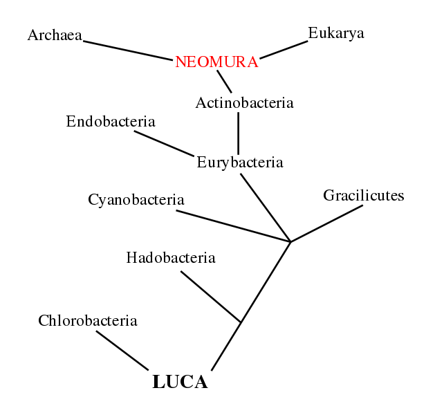 Image:Neomuratree.svg