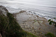 Tessellated pavement, a rare rock formation on the Tasman Peninsula