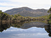 Reflections on the rivulet from Deny King's boathouse in Southwest National Park.
