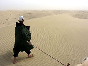 Desert life near Yarkand.